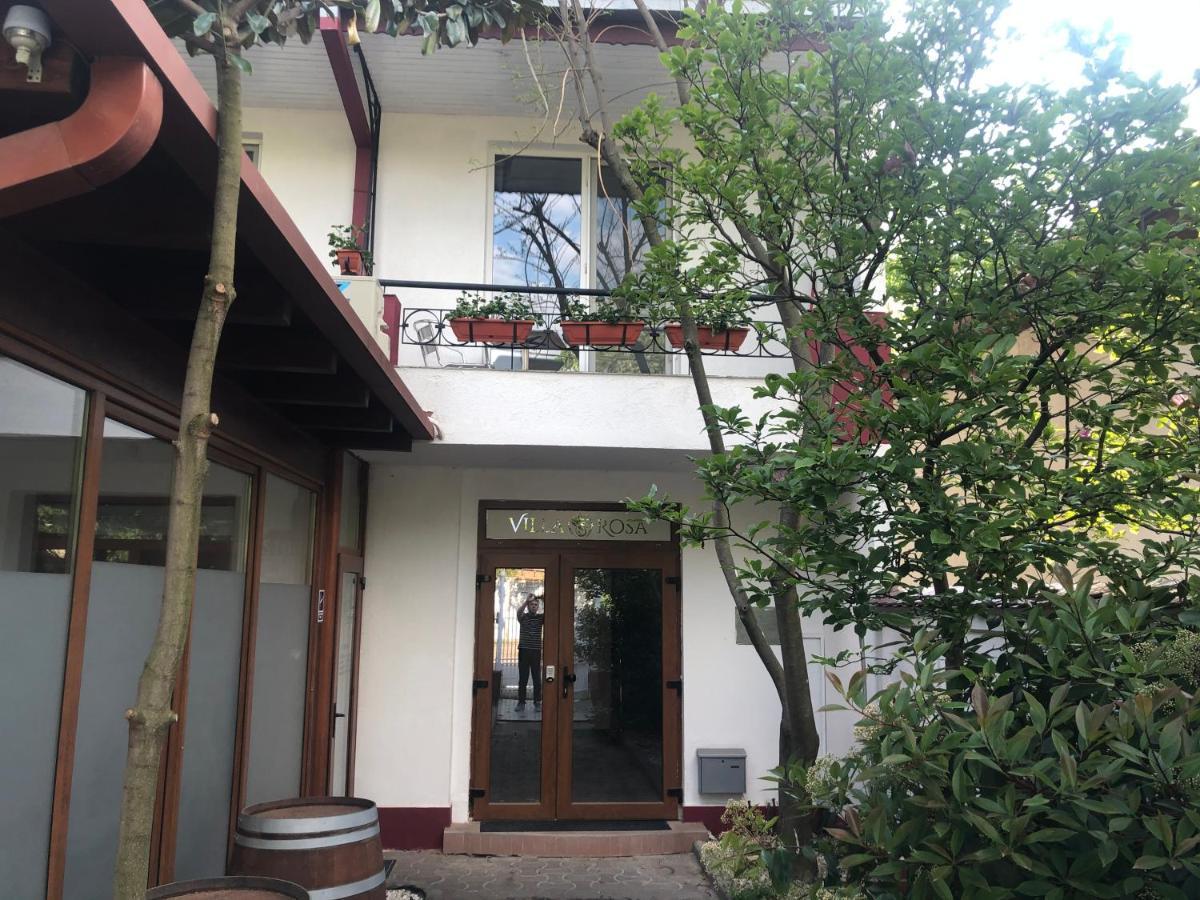Villa Rosa Temešvár Exteriér fotografie